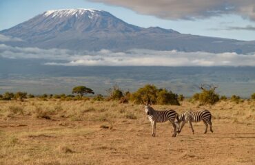 Amboseli-Kenya