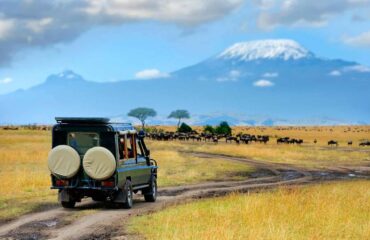 Amboseli-game-drive